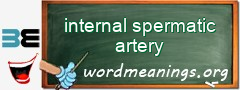 WordMeaning blackboard for internal spermatic artery